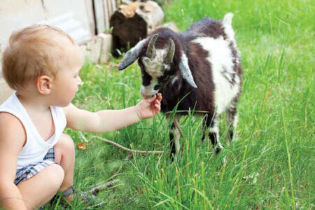 Hygiene Hypothesis: Why It May Be OK to Get a Little Dirty Image